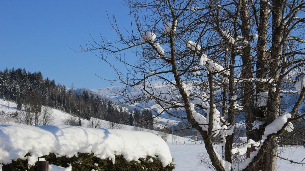 Ramseiderhof Apartment Saalfelden Bagian luar foto